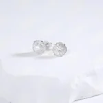 925 Silver Moissanite Earrings - ZHF-E1737 - Image 3