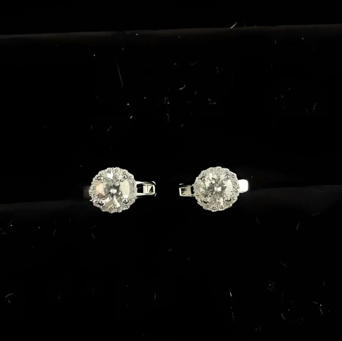 925 Silver Moissanite Earrings - ZHE-E1718 - Image 3