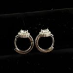 925 Silver Moissanite Earrings - ZHE-E1718 - Image 2