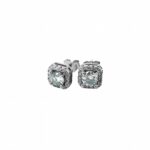 925 Silver Moissanite Earrings - ZHF-E1701 - Image 2