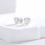 925 Silver Moissanite Earrings - ZHF-E1735 - Image 3